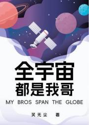 书名全宇宙都是我的粉丝