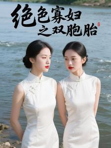 我的绝色双胞胎老婆
