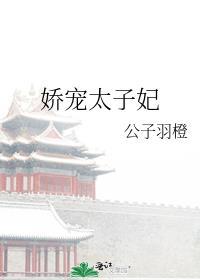 娇宠太子妃宋安安免费阅读